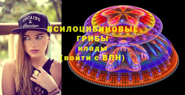 гидропоника Алзамай