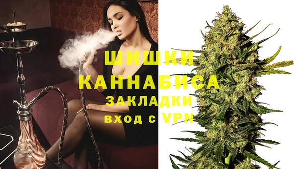 гидропоника Алзамай